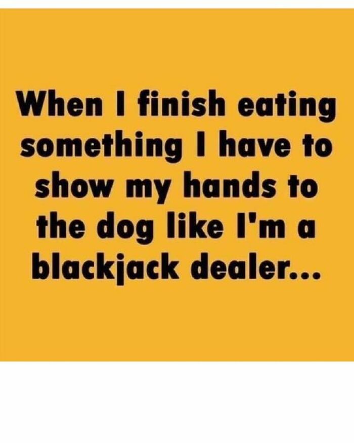 A dad joke about showing hands to a dog like a blackjack dealer written on a yellow background.