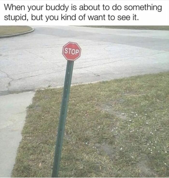 When The City Tries To Save Money And Orders From Wish