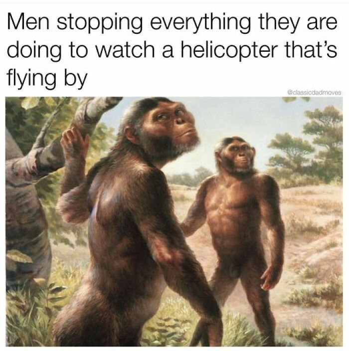 Dogs Chase Cars, Men Watch Helicopters. It's Hardwired