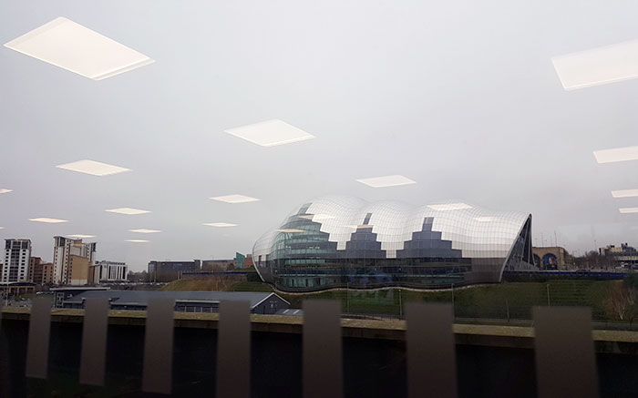 This Picture I Took Looks Like Minecraft