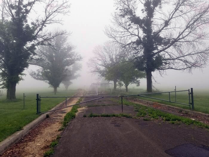 The Neglected Road Behind My School That I Walk On Looks Like Some Sort Of Silent Hill Zombie Apocalypse