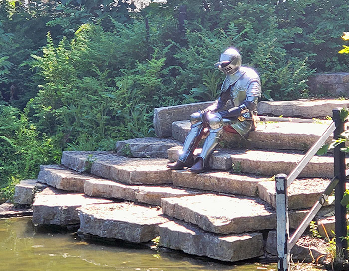 Saw A Knight In The Park The Other Day