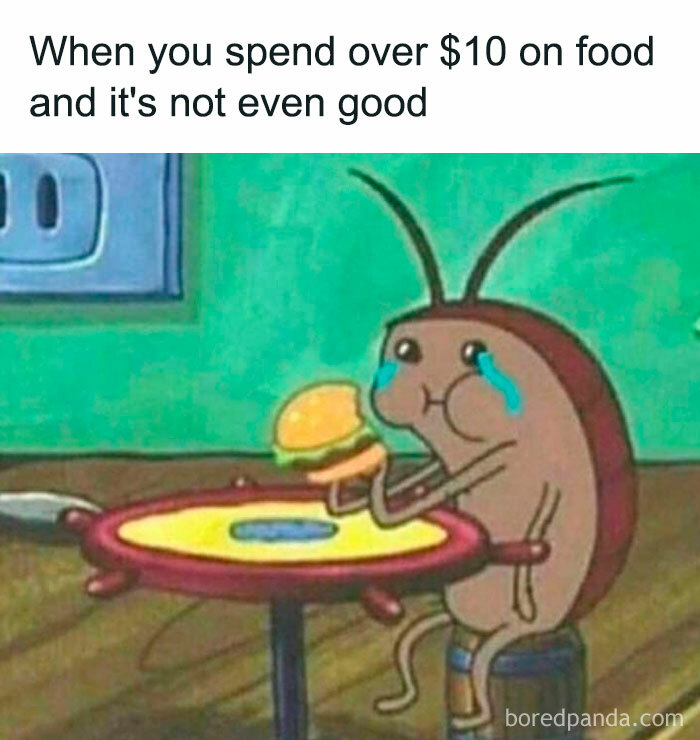 Cartoon insect crying over expensive, unsatisfying meal, highlighting the humor in money-related memes.