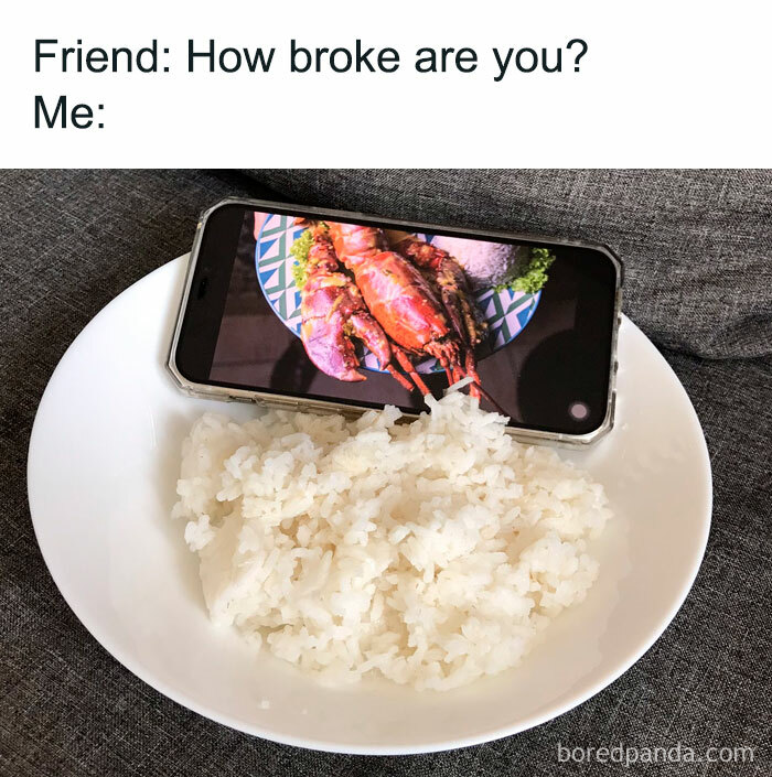 Meme about money showing phone with lobster image on plate of rice, humorously depicting financial struggles.