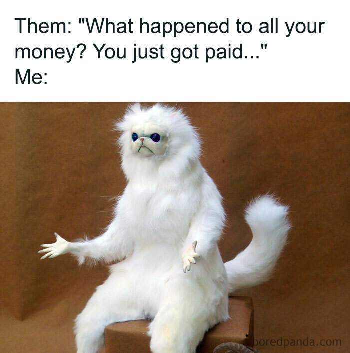 Relatable-Memes-About-Money