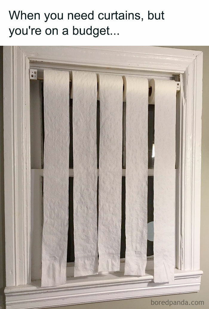 Toilet paper sheets used as makeshift curtains, highlighting funny money-saving hacks.