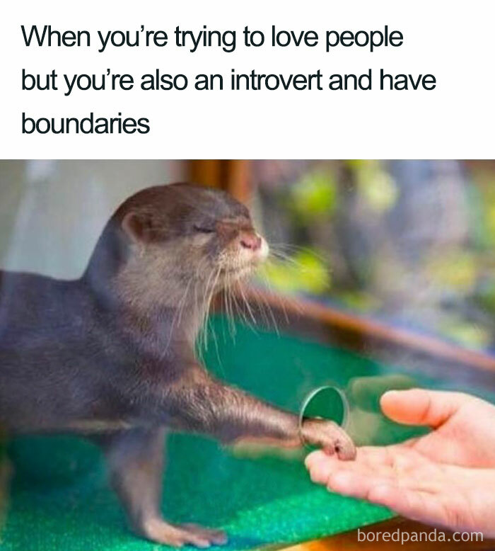 Relatable-Therapy-Memes