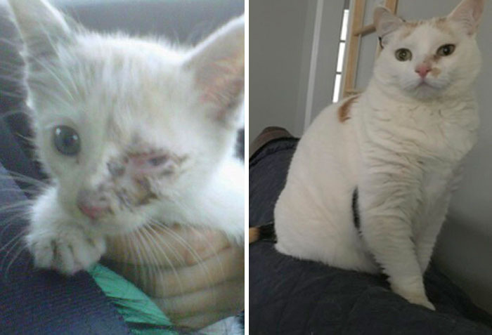 Found This Little Nugget Underneath My Car 9 Years Ago. Happy “Found-Day”, Fiona