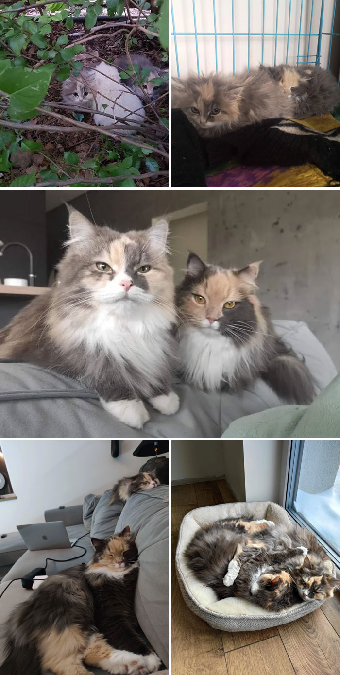 The Day They Were Found And 3 Years Later