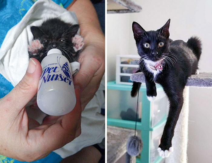 I Found Her Alone In A Parking Lot. Look At The Before And After