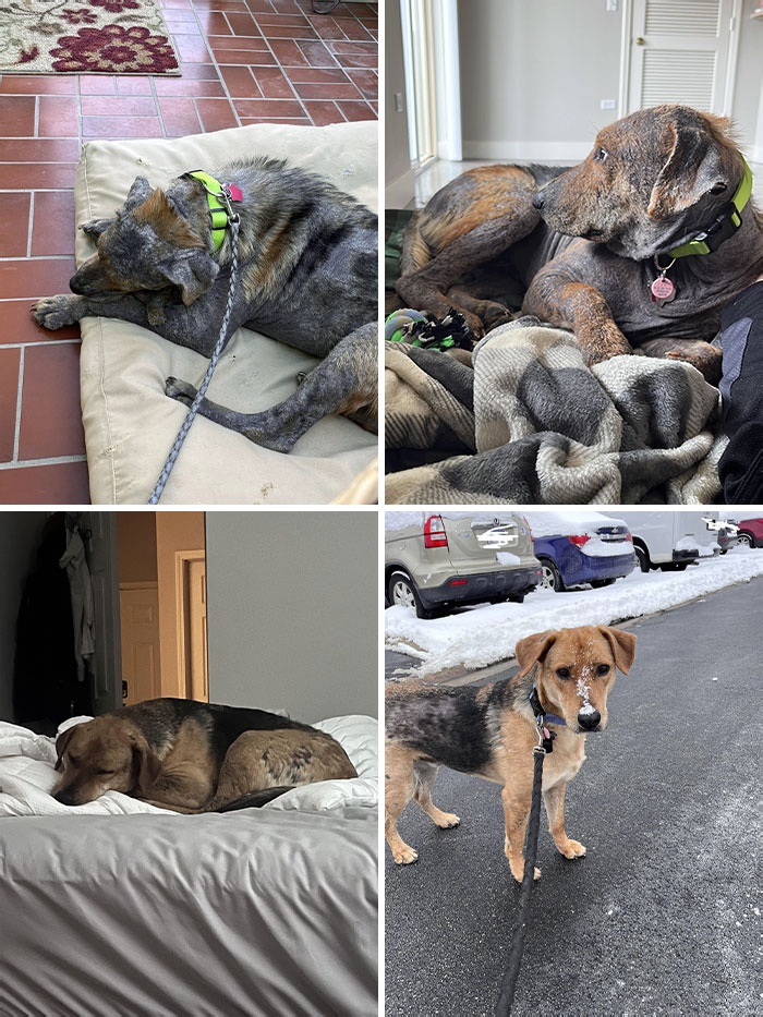 This Is Kane 1 Year Ago On The Adoption Day vs. Today