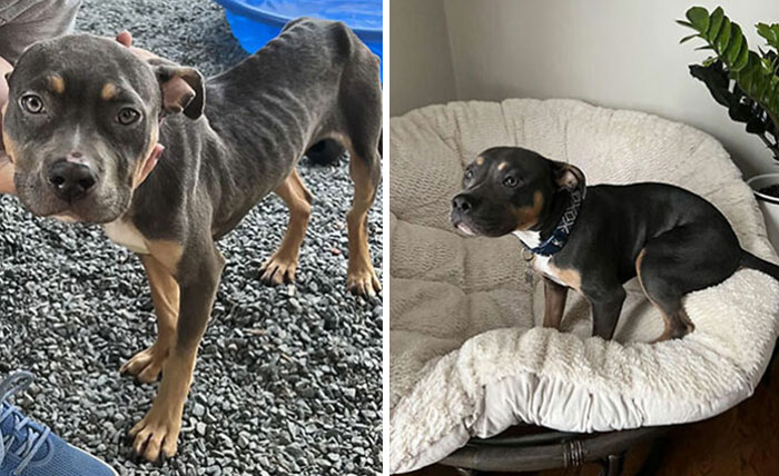 Baby Mira Before And After. Now She Looks Way Much Better 