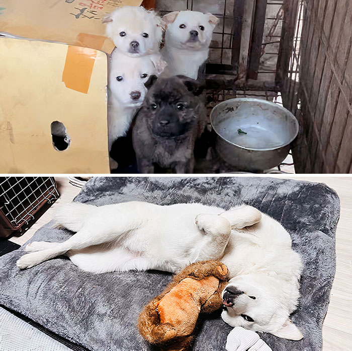 How It Started vs. How It's Going