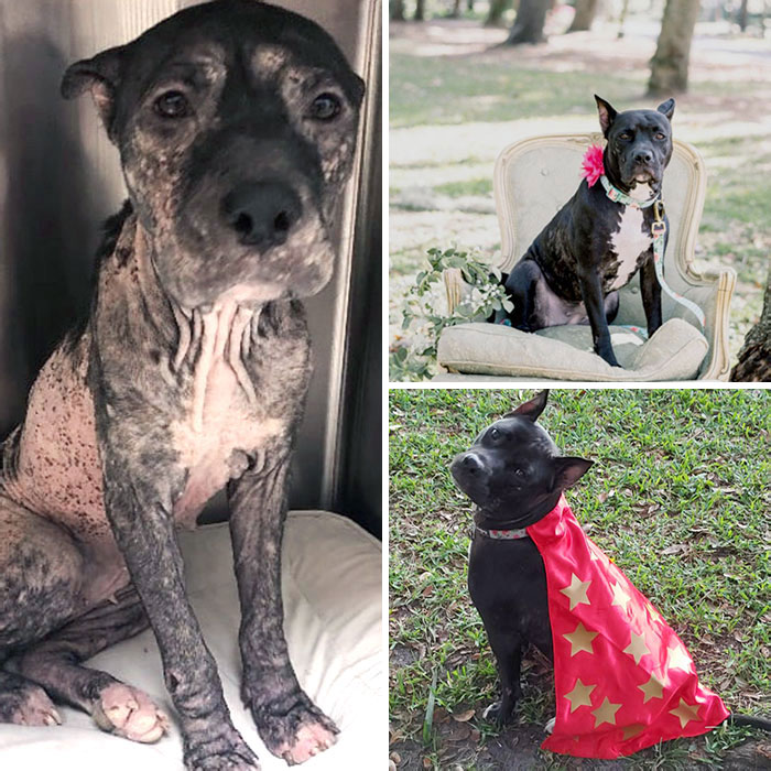 My Girl Nova Has Come A Long Way. Her Before And After Is Mind Boggling To Me. I Love Her So Much