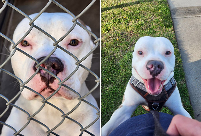 Chucky Before vs. After