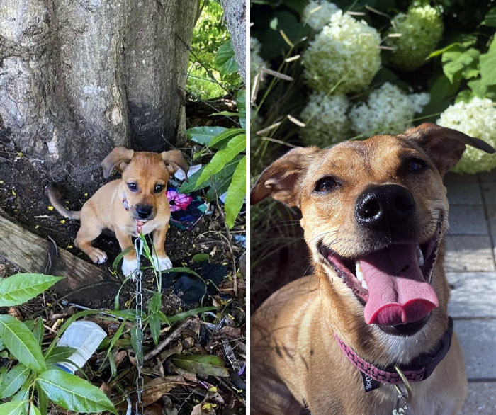 From The Streets Of Yabacoa To Our Home