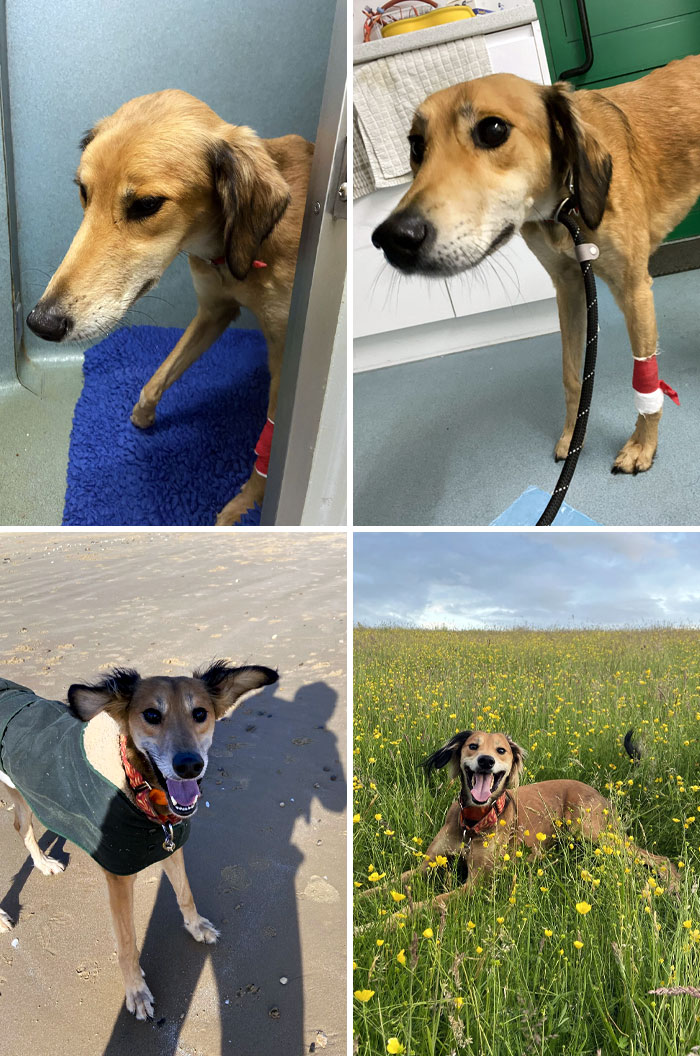 Left Tied To A Lampost In The Middle Of The Night With A Broken Shoulder vs. Now