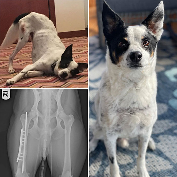 Freddy Before And After