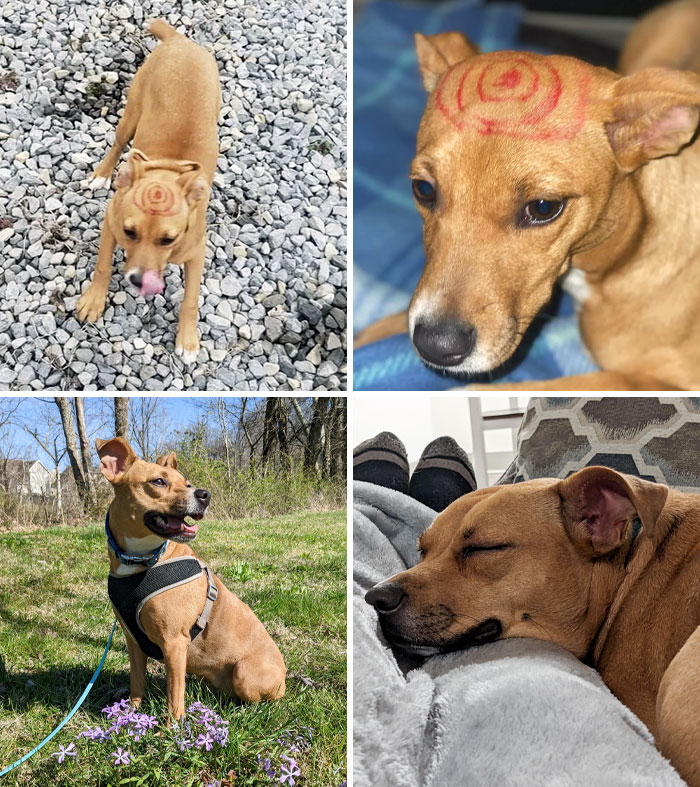 This Baby With A Target On Her Head. Before vs. After