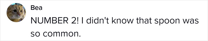 Woman Asks People Which Spoon Out Of These 2 They'd Choose, Sparks An Intense Debate Online