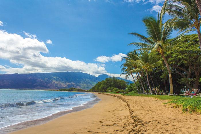 Long beach with palms and mountains in the back 