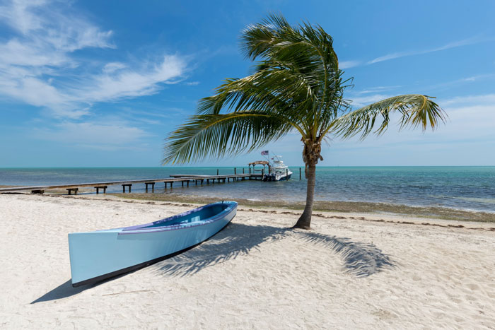 Boat and a palm in a beach 