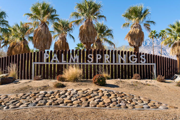 Palms near a fence in a desert 