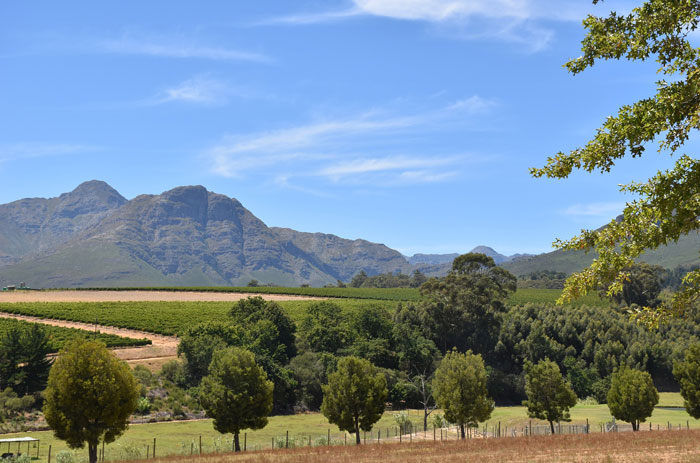 Beautiful view with the mountains at the back 