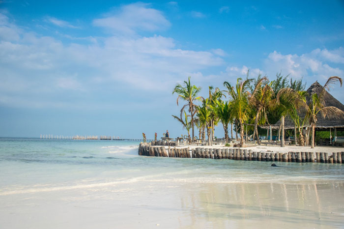 Beach with palms and houses 