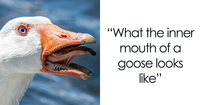 40 Creepy Facts Not For The Fainthearted, As Shared On The “Terrifying Society” Instagram Page