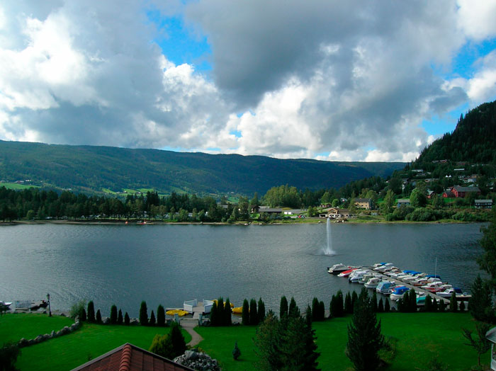 Houses near water with bouts docked near by 