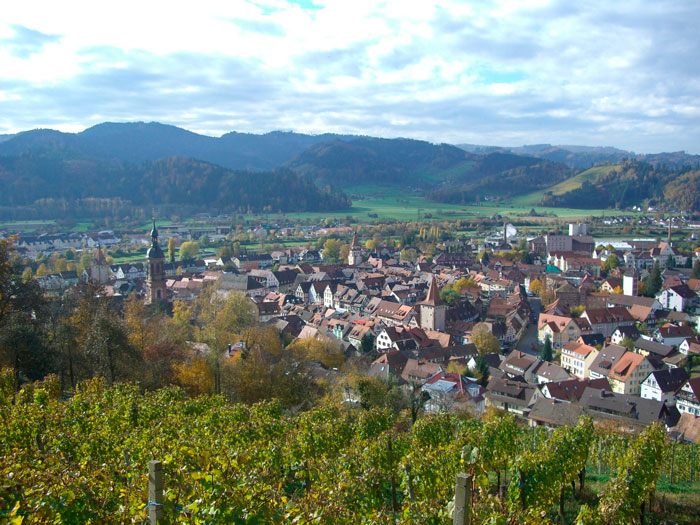 Multiple buildings surrounded with mountains 