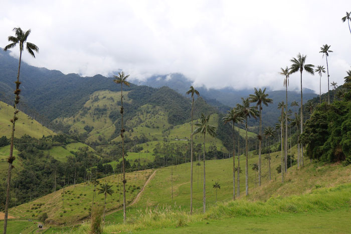 Couple of buildings in a mountainous environment 