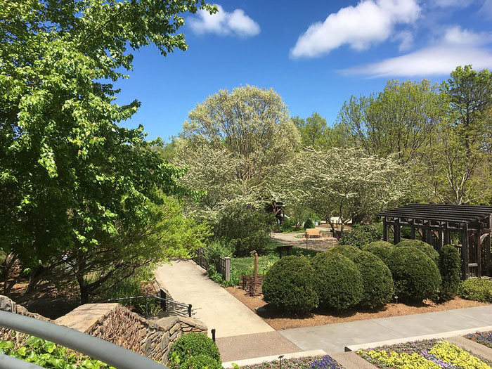 Photo of Asheville city