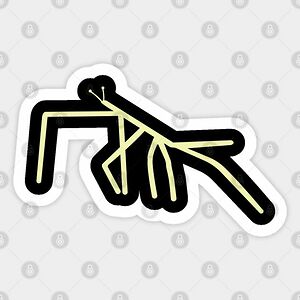 nicola-reed0704 avatar