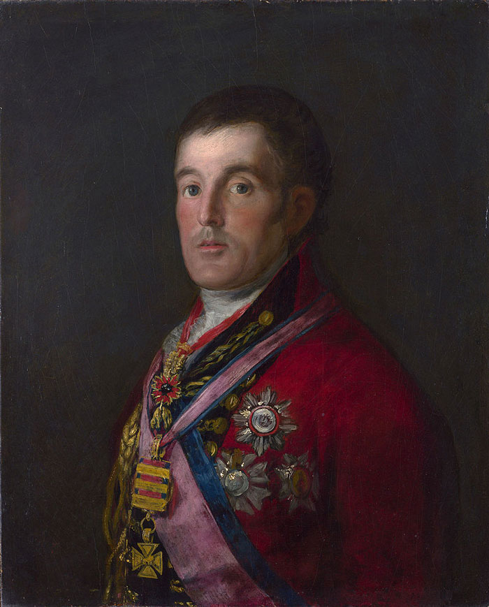 Portrait of the Duke of Wellington painting by Francisco Goya
