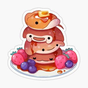 shakirawheelden avatar