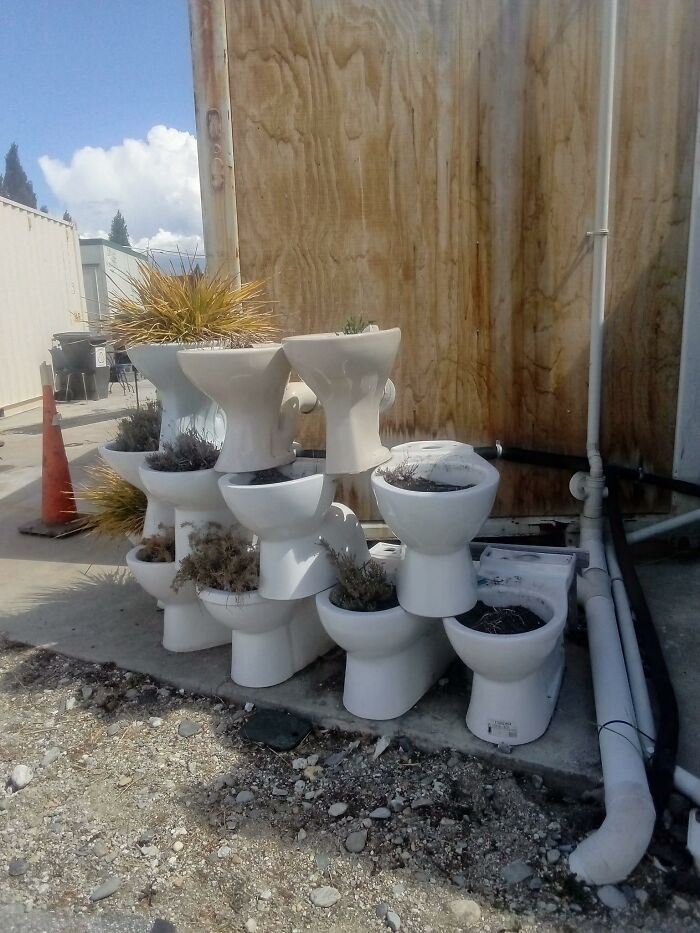 I Travelled Halfway Round The World To Find It! Alexandra Tip Shop, Nz