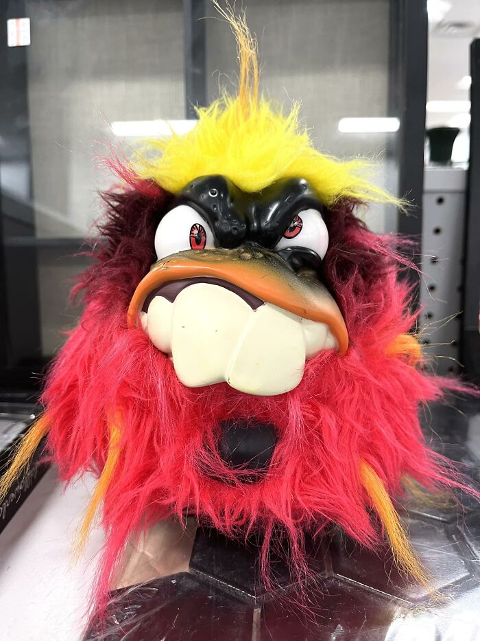 Always Something To Catch Your Attention At Goodwill, Richmond, Va!