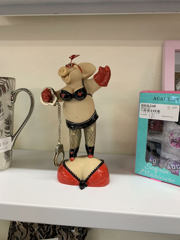 Found This Pig In Red Cross Shop In Street, UK. £6 She Looks So Happy !!!