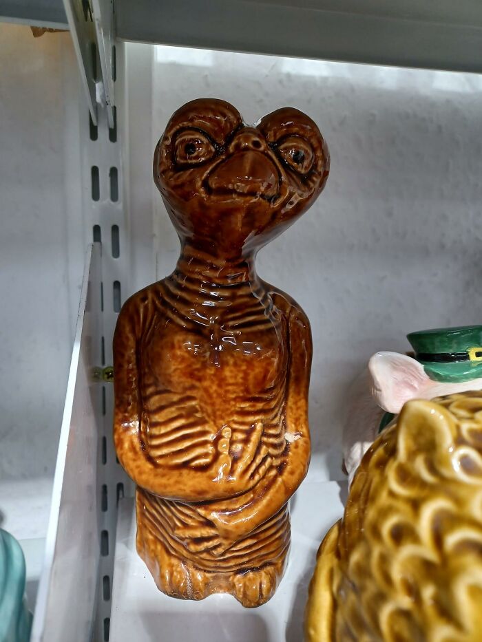 I Found This In Salvation Army In Daventry And Thought It Was Gross... My Cousin Was Too Slow To Go Get It As He's Gone Home Already