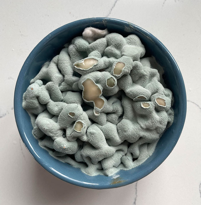 My Moldy Baked Beans Look Like Brains