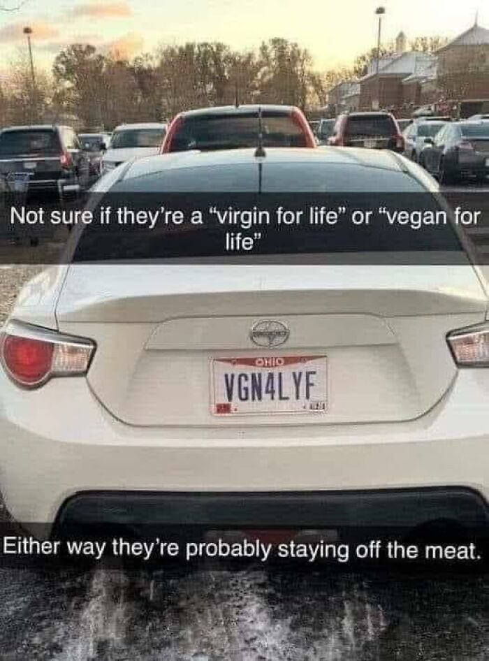 Car with license plate "VGN4LYF" parked, captioned about being single and lifestyle choices, highlighting humor.