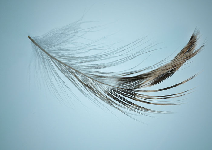 “Confirmation Bias Is A Scary Thing”: People Online Share 35 Scientific Facts That Sound Unbelievable But Are Actually True