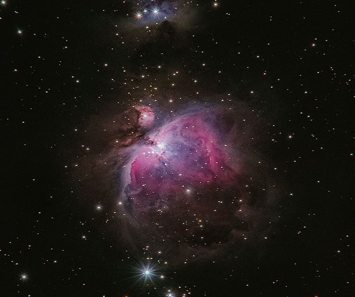 “Confirmation Bias Is A Scary Thing”: People Online Share 35 Scientific Facts That Sound Unbelievable But Are Actually True