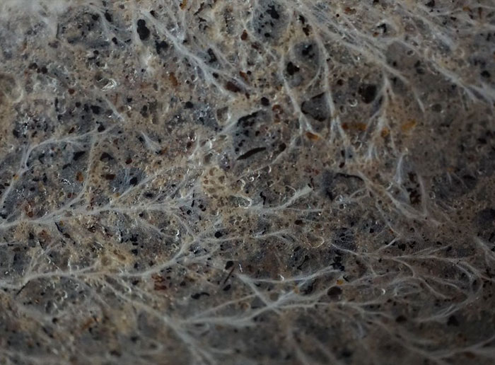 25 Datos científicos que parecen increíbles, pero son reales