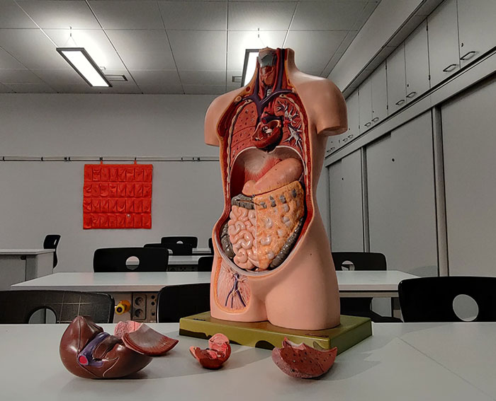 25 Datos científicos que parecen increíbles, pero son reales