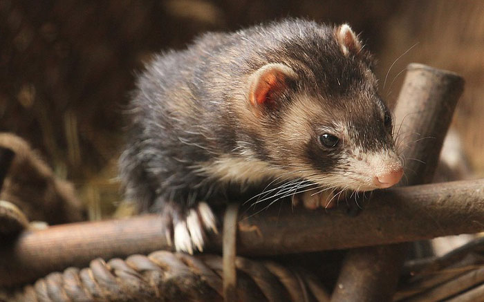 25 Datos científicos que parecen increíbles, pero son reales