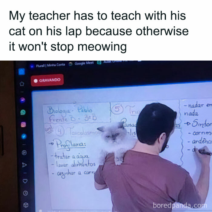 Unexplainable-Cat-Images-Memes