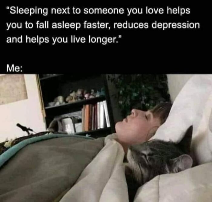 Unexplainable-Cat-Images-Memes